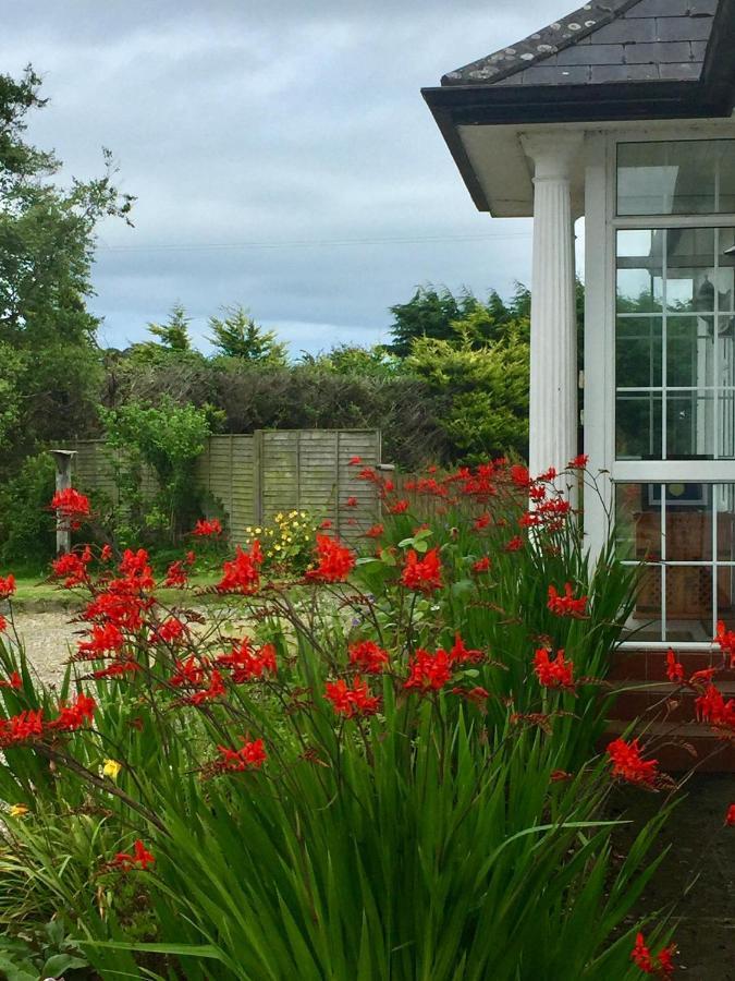 Padua Guest Accommodation Rosslare Рослэр Экстерьер фото